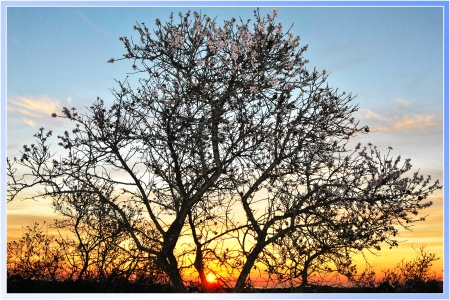 Nächstes Foto